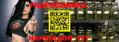 стаф Кандалакша