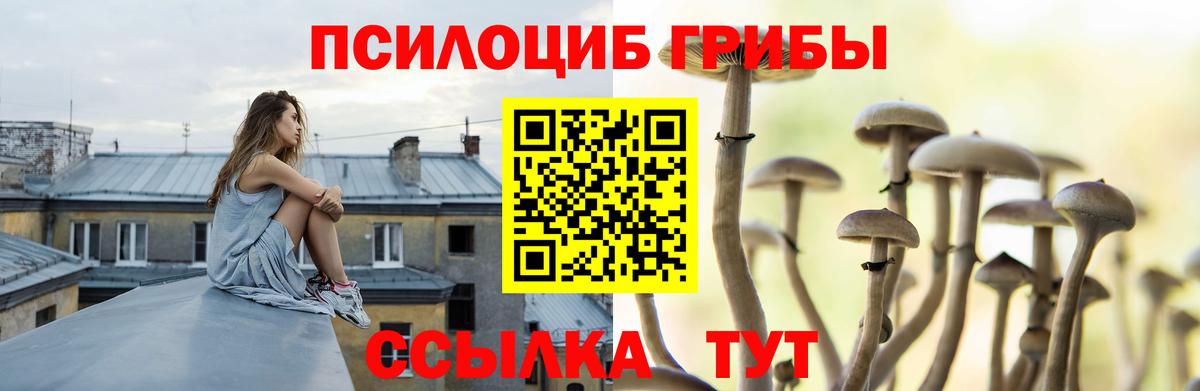 Галлюциногенные грибы GOLDEN TEACHER  Вход с VPN  дарнет шоп  Красный Сулин 